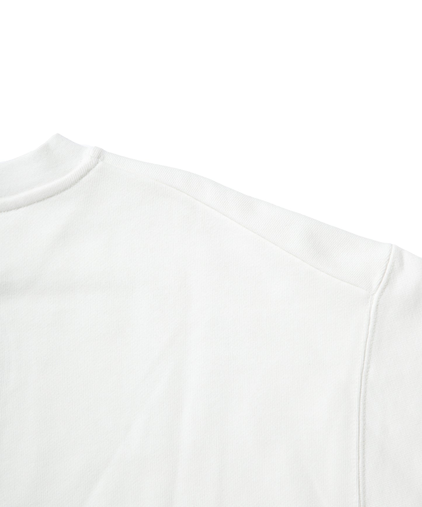 Small Logo Heavy Crewneck Sweatshirt / WHITE