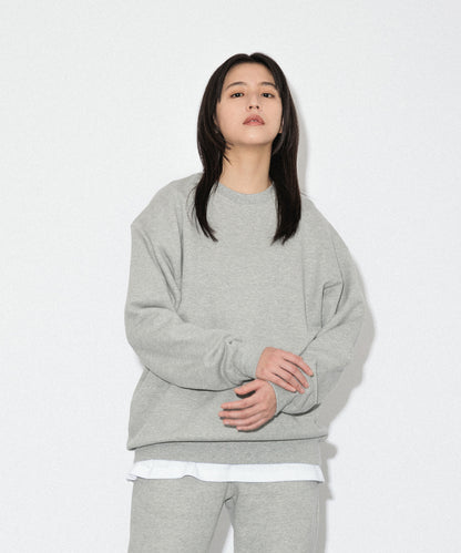 Heavy Crewneck Sweatshirt / HEATHER GRAY