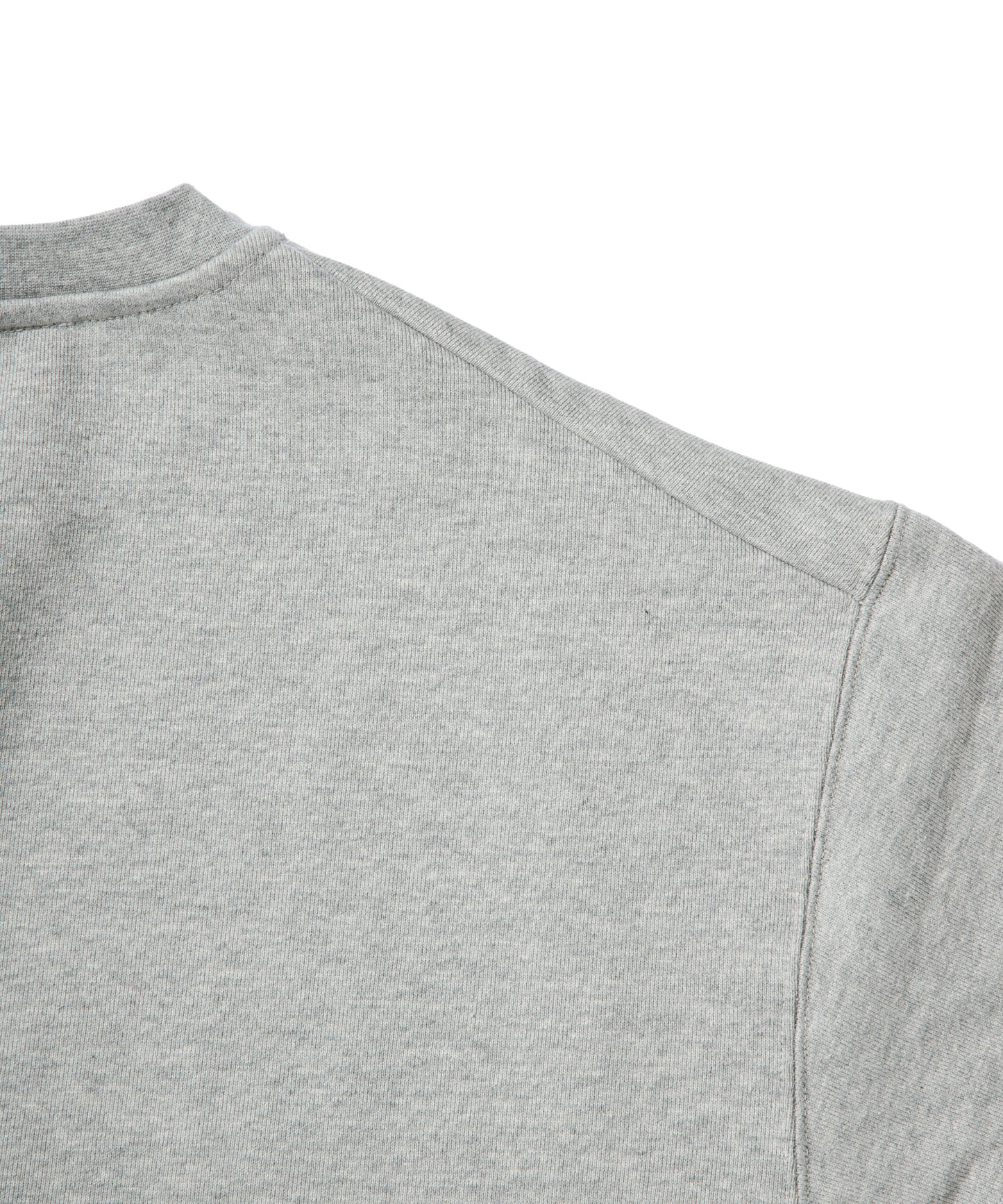 Small Logo Heavy Crewneck Sweatshirt / HEATHER GRAY
