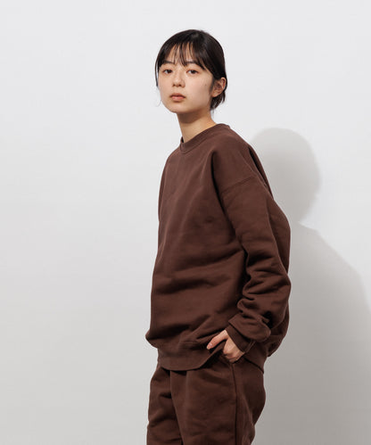 Heavy Crewneck Sweatshirt / BROWN