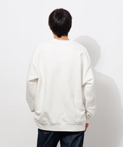 Small Logo Heavy Crewneck Sweatshirt / WHITE