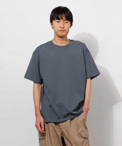 Basic Crewneck T-Shirt / STONE GRAY