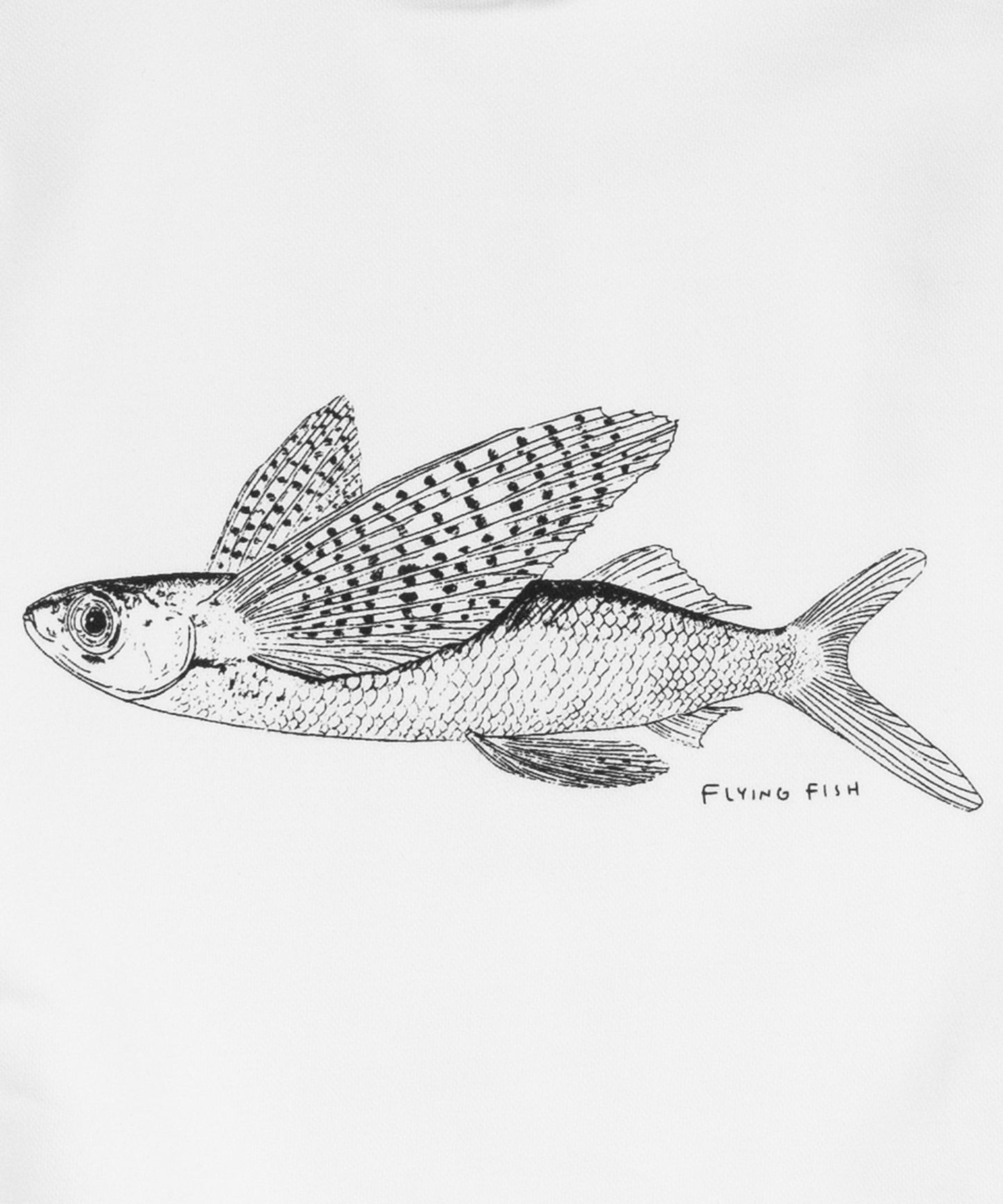 Flying Fish Hooded Sweatshirt / WHITE
